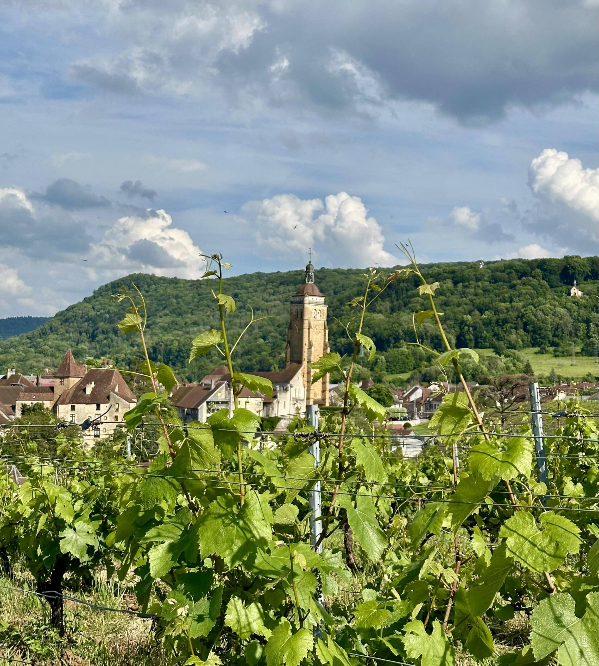 WINE JAM: JURA